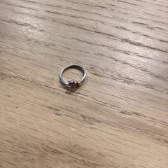 Ringe Zilver met eenhoorn, som rapportert av Poppodium 013 ved bruk av iLost
