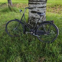 omafiets zwart an iLost gemeldet