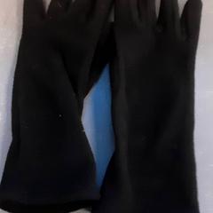 إكسسوارات الملابس، كما تم الإبلاغ عنه بواسطة Diergaarde Blijdorp عبر iLost