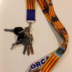 Schlüssel, gemeldet von RAI Amsterdam über iLost