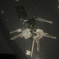 Sleutelbos, segundo informou a iLost