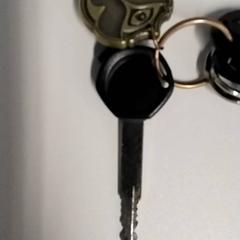 İLost kullanarak Centraal magazijn tarafından bildirildiği gibi Anahtarlar