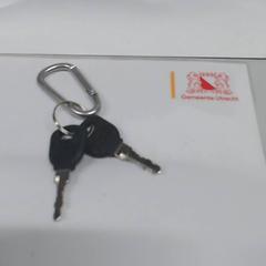 Sleutels Sleutelbos, zoals gemeld door Gemeente Utrecht met iLost