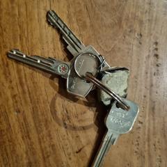 Sleutelbos, como reportado ao iLost