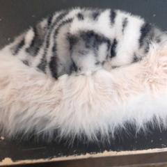 Beanie, gemeldet von Qbuzz servicepunt  Emmen über iLost