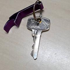 Sleutel, zoals gemeld door Arriva Oost-Brabant met iLost