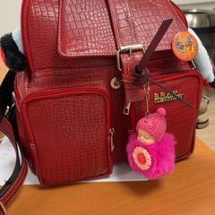 Taška, jak nahlášeno ibis Schiphol Amsterdam Airport pomocí iLost