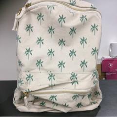 Ruksak, ako bolo nahlásené Breng Nijmegen pomocou iLost