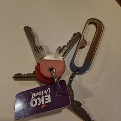 Sleutelbos, as reported to iLost