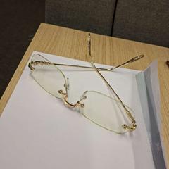 眼鏡 がiLostで Feyenoord Rotterdam によって報告されました