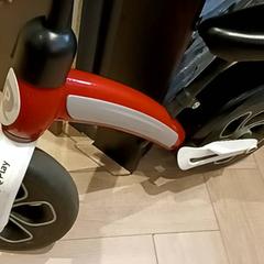 Loopfietsje, segons ha informat RRReis IJssel-Vecht mitjançant iLost