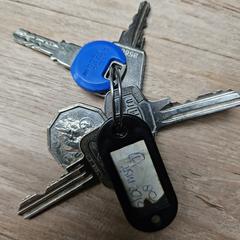 Bos sleutels, gerapporteerd met iLost