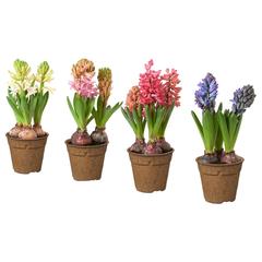 IKEA-produkt, gemeldet von IKEA Anderlecht (Brussels) über iLost