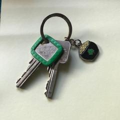 sleutelbosje, som rapporterats till iLost