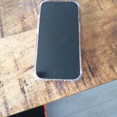 Iphone, as reported to iLost