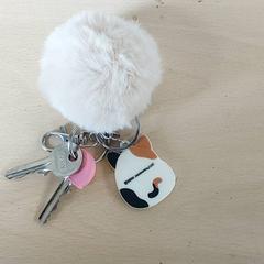 İLost kullanarak Centraal magazijn tarafından bildirildiği gibi Anahtarlar