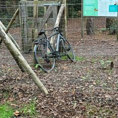 Fiets Granville grijs, ha sido reportado por Stad Peer con iLost