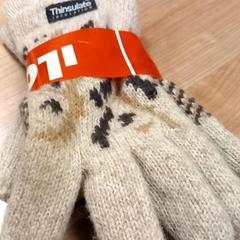 Handskar, rapporterat av RRReis Veluwe Zuid - Ede med iLost