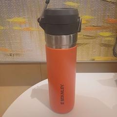 Botella Stanley, ha sido reportado por Heidelberglaan 7 con iLost