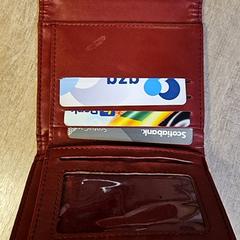 Portfel Kuijpers, zgłoszono przez RRReis IJssel-Vecht Lelystad przy użyciu iLost