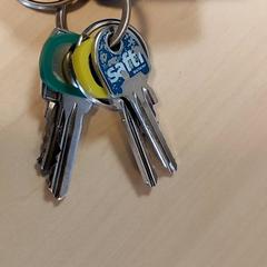 Key, as reported by Regio Oost-Vlaanderen using iLost