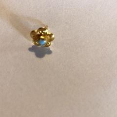 Náušnica, ako bolo nahlásené Attractie- & Vakantiepark Slagharen pomocou iLost