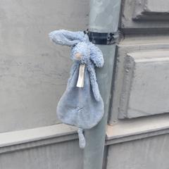 Blauwe knuffel, som rapporterats till iLost