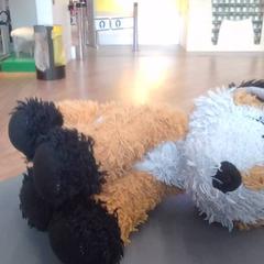 Knuffeldoek renard, zoals gemeld door IKEA Nantes met iLost