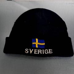 Czapka Svart, zgłoszono przez Keolis Lund przy użyciu iLost