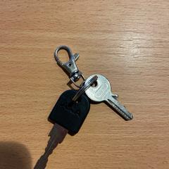 Sleutelbos, amint azt Pathé City az iLost segítségével jelentette.