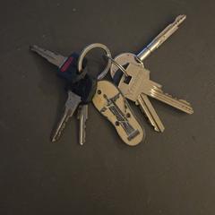 Sleutelbos, as reported to iLost