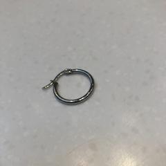 Oorbel / earring, iLost를 사용하여 Rijksmuseum van Oudheden에 보고됨