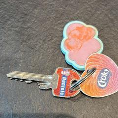 Key Sleutel, as reported by Gemeente Zonhoven using iLost