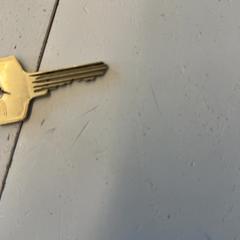 İLost kullanarak GVB tarafından bildirildiği gibi Anahtar