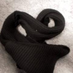 Sjal Zwart, rapporterat av Qbuzz Fryslân med iLost