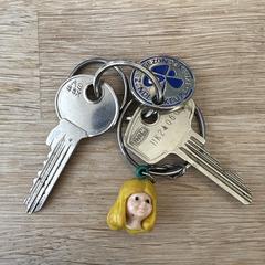 Sleutelbos, som rapportert til iLost