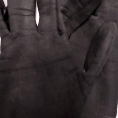 Rukavice, jak nahlášeno Arriva Friesland / Groningen pomocí iLost