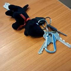 Schlüssel, gemeldet von Blauwnet Zwolle über iLost