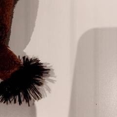 Kosete leke, som rapportert av De Efteling ved bruk av iLost