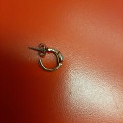 Oorbel, a été signalé par UvA REC utilisant iLost