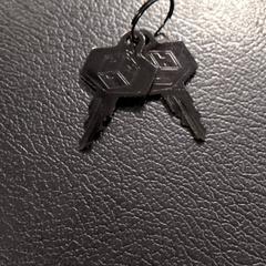 Keys, as reported by IKEA Amsterdam using iLost