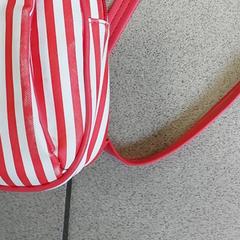 Backpack, as reported by Regio Antwerpen - Brussel using iLost