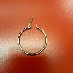 Ørering, som rapportert av UvA REC ved bruk av iLost