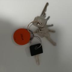 Schlüssel anhänger, jak nahlášeno Wilmering Brinkum pomocí iLost