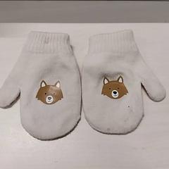 Handskar Kinderen, rapporterat av Arriva Limburg Zuid med iLost