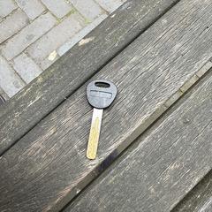 Sleutel, ha sido reportado a iLost