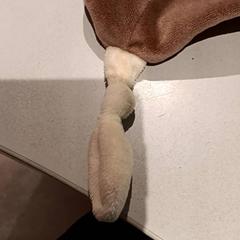 Peluche, come riportato da De Efteling utilizzando iLost