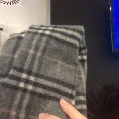 Schal, gemeldet von MEININGER Hotel Vienna Downtown Franz über iLost