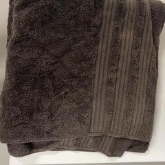 منشفة الشاطئ، كما تم الإبلاغ عنه بواسطة Silver Sands Beach عبر iLost