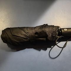 Zwarte Papraplu, som rapportert til iLost